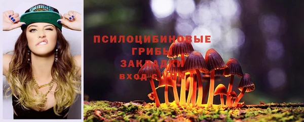 спиды Алексин