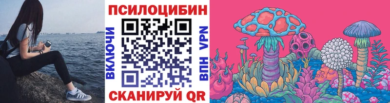 закладки Кандалакша Псилоцибиновые грибы GOLDEN TEACHER