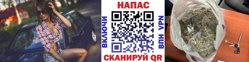Бошки марихуана план  закладка  Кандалакша 